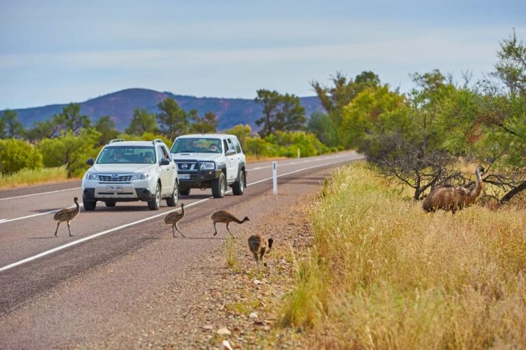 Conservation and Rules